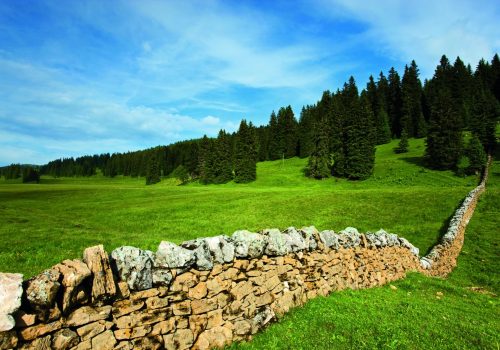 Parc naturel Jura vaudois