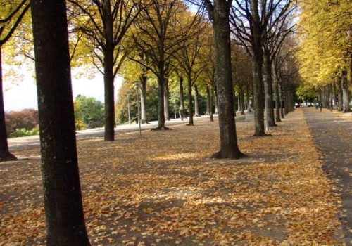 Parc de Valency en Automne, Prilly, Lausanne